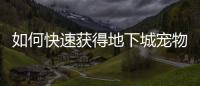 如何快速获得地下城宠物装备