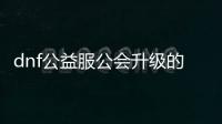 dnf公益服公会升级的步骤与技巧